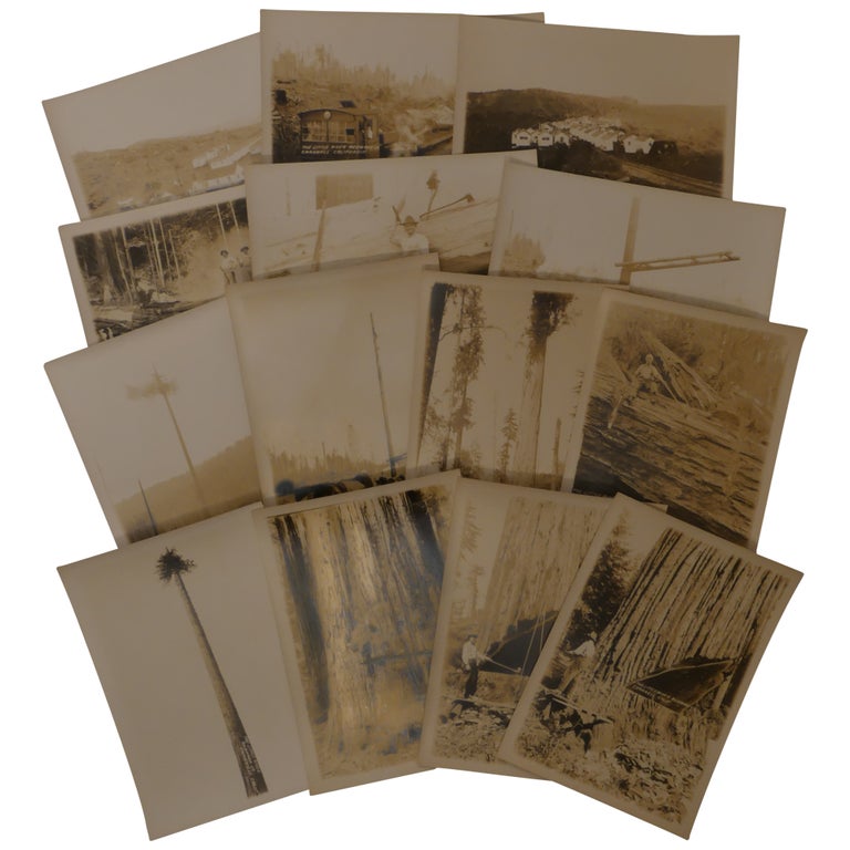 Item No: #1950 14 Promotional Photographs of Little River Redwood Co. Operations in Crannell, California. photographers, attributed to, Dold.
