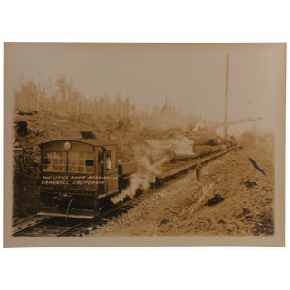 14 Promotional Photographs of Little River Redwood Co. Operations in Crannell, California