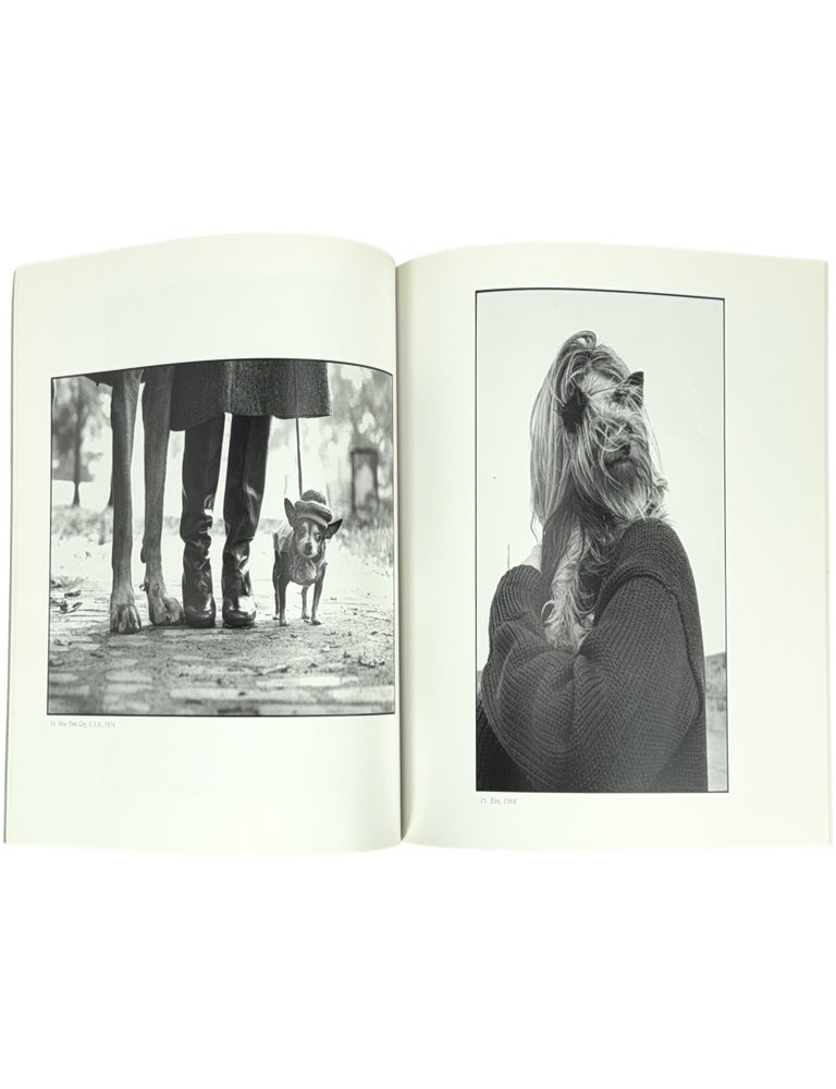 Personal Exposures / Eriotto au~itto shusei ten