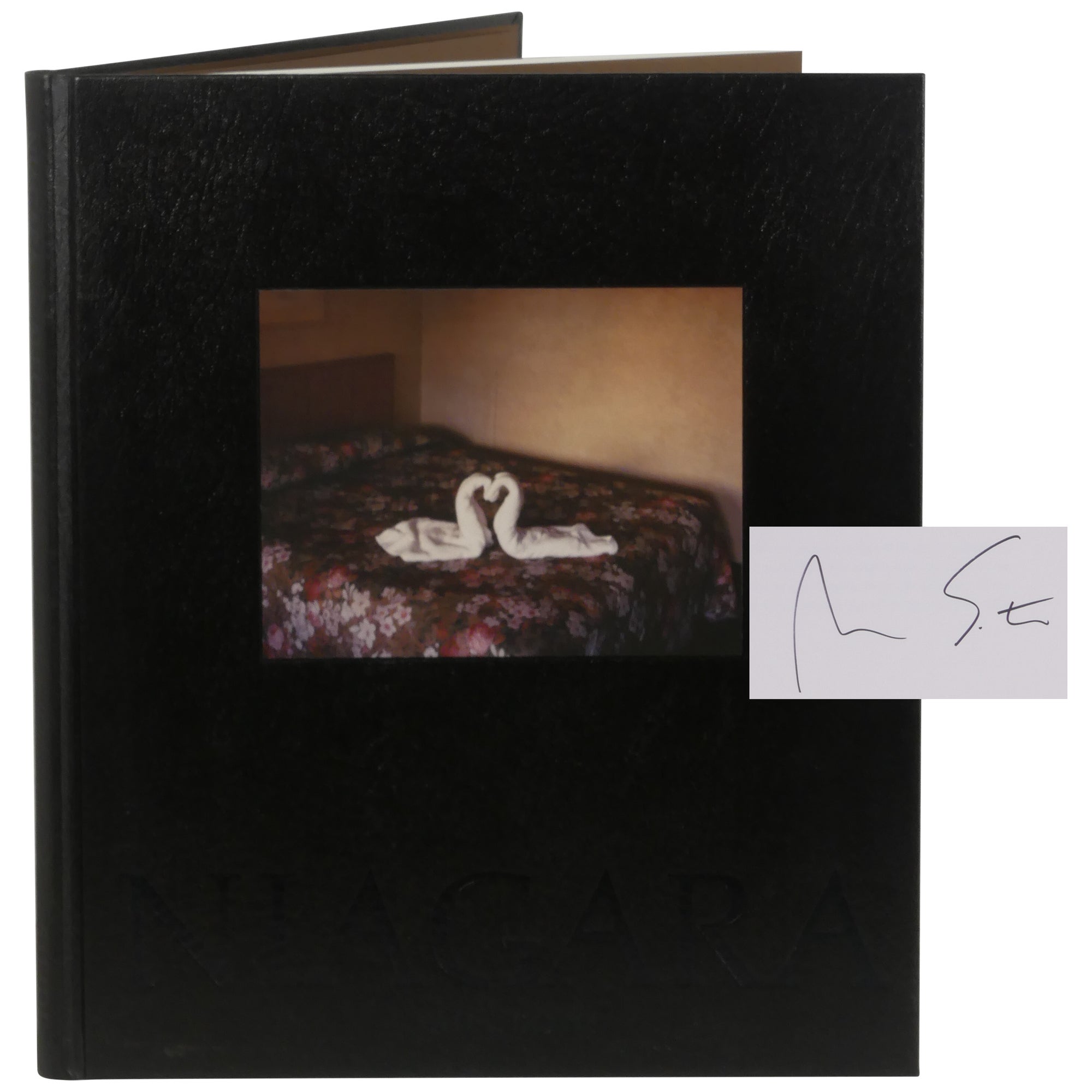 Niagara by Alec Soth on Downtown Brown Books