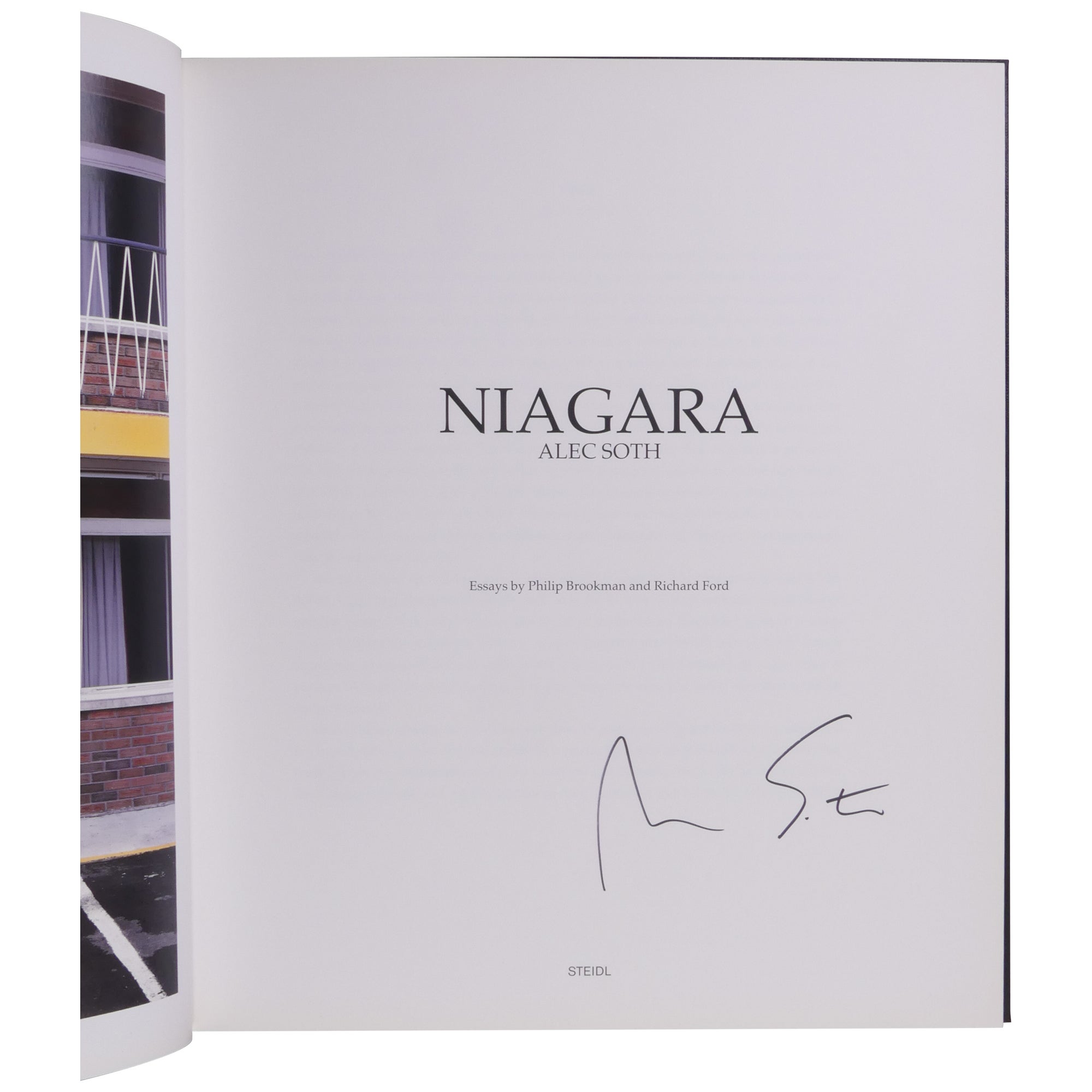 Niagara by Alec Soth on Downtown Brown Books