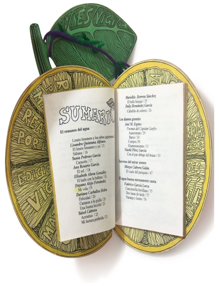 Barquitos del San Juan: Revista de los niños, año 11, número 20