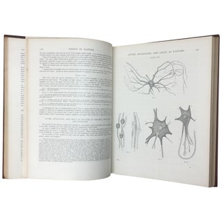 Design in Nature, Illustrated by Spiral and Other Arrangements in the Inorganic and Organic Kingdoms as Exemplified in Matter, Force, Life, Growth, Rhythms, &c., Especially in Crystals, Plants, and Animals [3 Volumes]