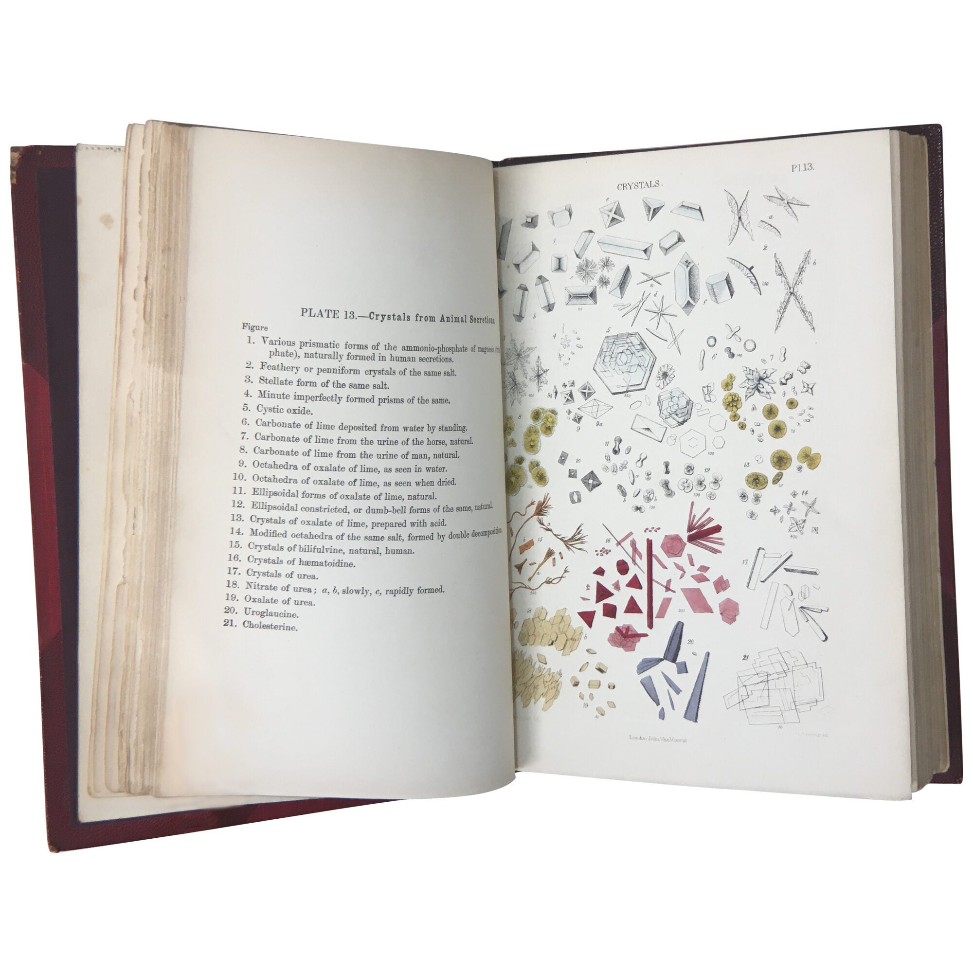 The Micrographic Dictionary; A Guide to the Examination and ...