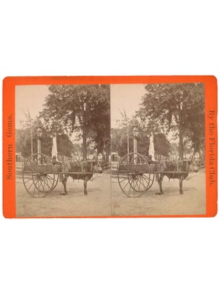 Item No: #307572 The Lightning Express: Or, the Team of a Florida Cracker...