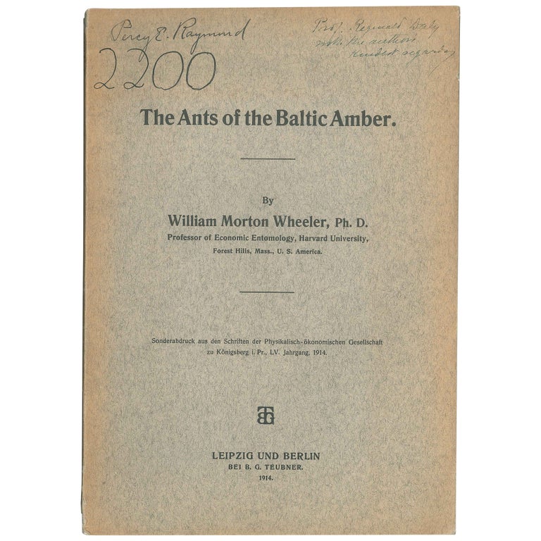 Item No: #307947 The Ants of the Baltic Amber. William Morton Wheeler.