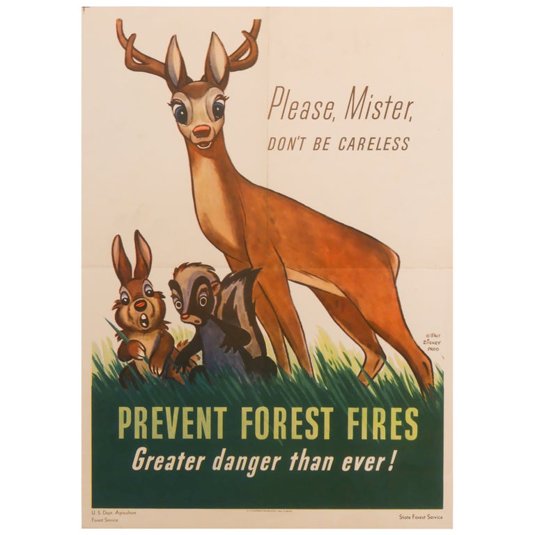 Item No: #308180 Please Mister, Don't Be Careless: Prevent Forest Fires. Greater Danger Than Ever. Walt Disney Co.