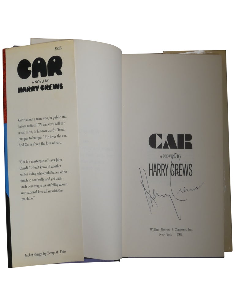 Car: A Novel: New York