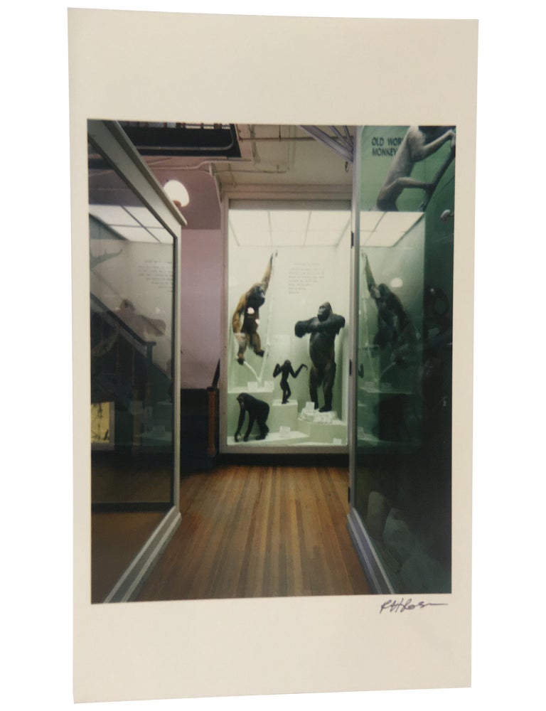 Museology
