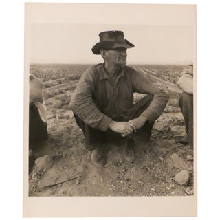 Item No: #360844 Jobless on the Edge of a Peafield, Imperial Valley, California...