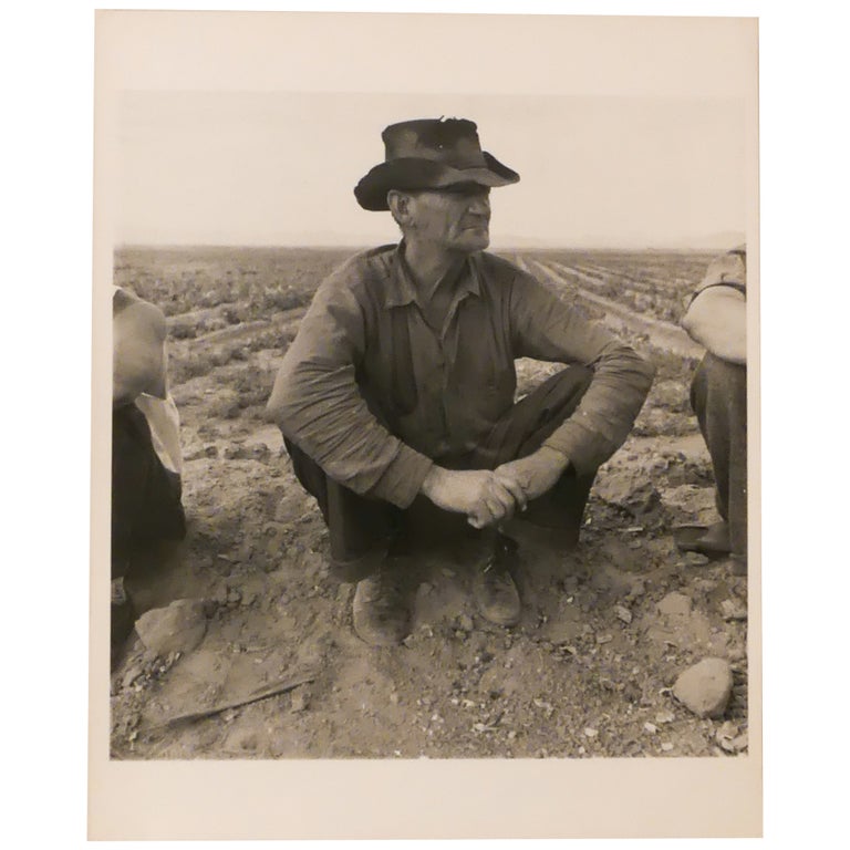 Item No: #360844 Jobless on the Edge of a Peafield, Imperial Valley, California (Migrant agricultural worker. Holtville (vicinity) Calif. Feb. 1937). Dorothea Lange.