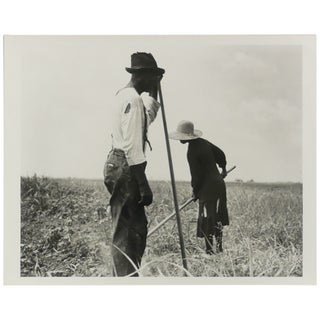 Item No: #361975 Cotton Sharecroppers. Greene County, Georgia. They produce...