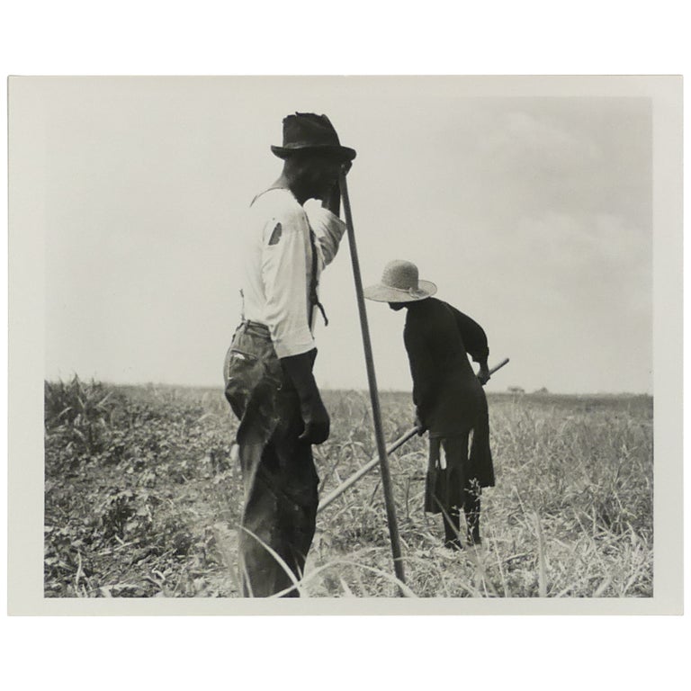 Item No: #361975 Cotton Sharecroppers. Greene County, Georgia. They produce little, sell little, buy little. Dorothea Lange.