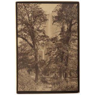 Item No: #361980 On the Road to Yosemite Fall [Imperial Plate]. Carleton Watkins