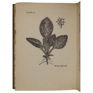 Item No: #362750 Garden Spice and Wild Pot-Herbs. Walter Conrad Muenscher, Myron...