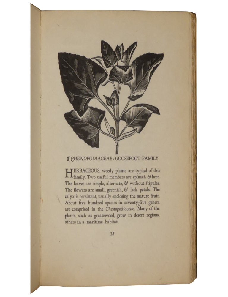 Garden Spice and Wild Pot-Herbs