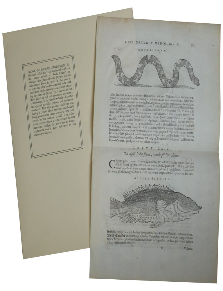 Printed Pages from European Literature
