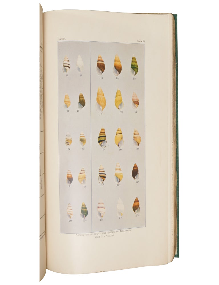 Evolution, Racial and Habitudinal