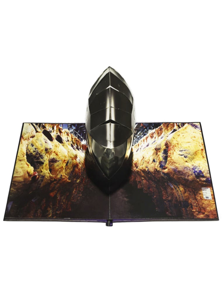 Visionaire 55: Surprise