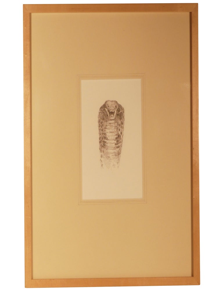 "Cobra", an Original Drawing for the Clark City Press Edition of Jim Harrison's Book The Theory and Practice of Rivers