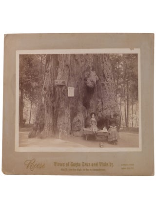 Item No: #364027 Giant.—300 Feet High; 60 Feet in Circumference [Views of...